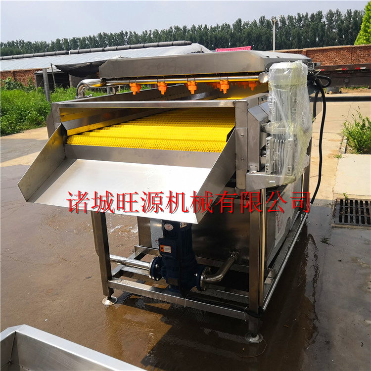 蓮藕毛輥噴淋清洗機 毛刷去皮機 蓮藕平行毛刷清洗機 生產廠家