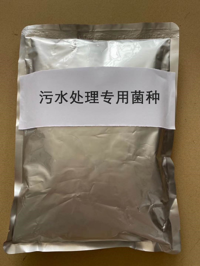 解決養豬場糞水用污水處理專用菌種